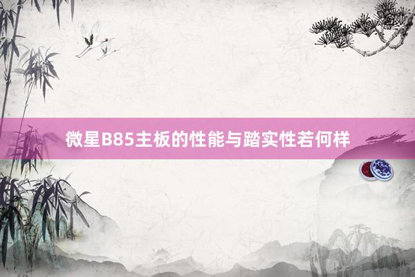 微星B85主板的性能与踏实性若何样