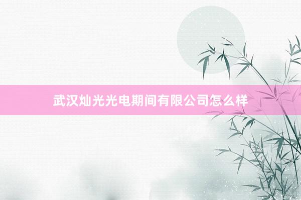 武汉灿光光电期间有限公司怎么样