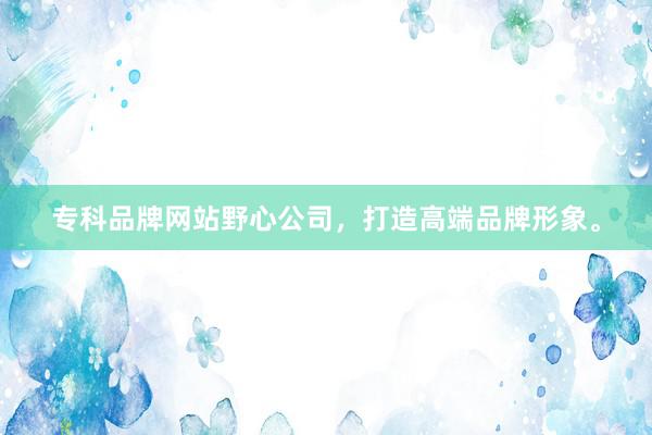 专科品牌网站野心公司，打造高端品牌形象。